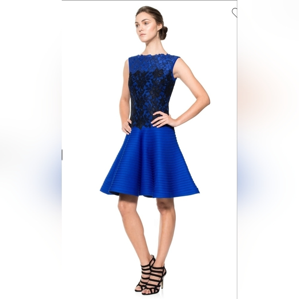 Tadashi Shoji Blue Black Lace Fit & Flare Dress Size 12 Cocktail Evening Party